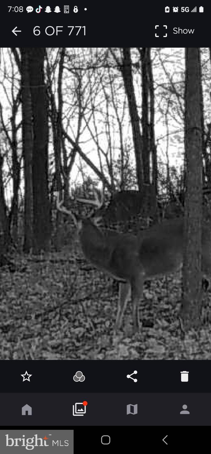 2325 York Road Gettysburg, PA 17325 - Photo 59 of 63