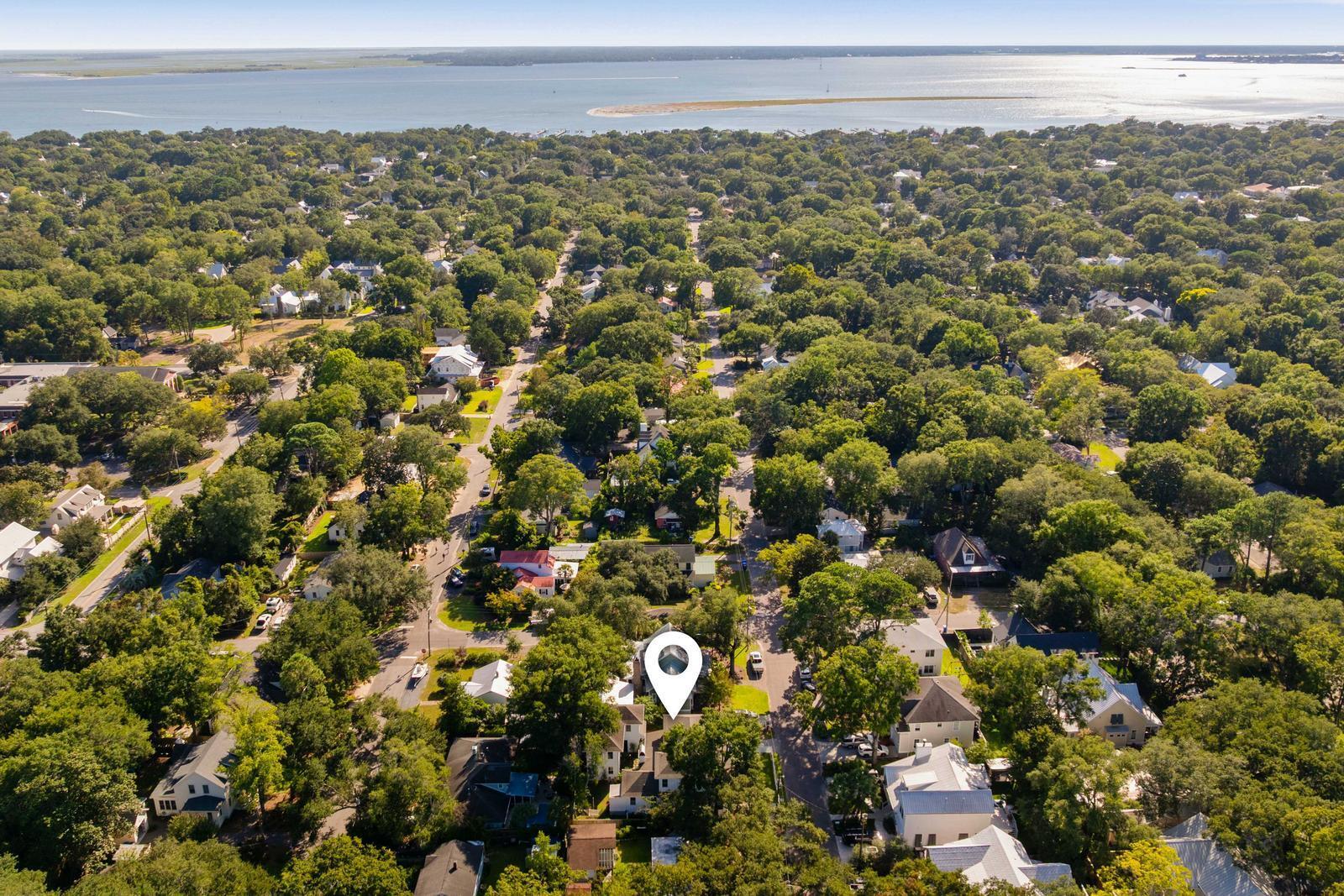 733 Atlantic Street Mount Pleasant, SC 29464 - Photo 62 of 66 77