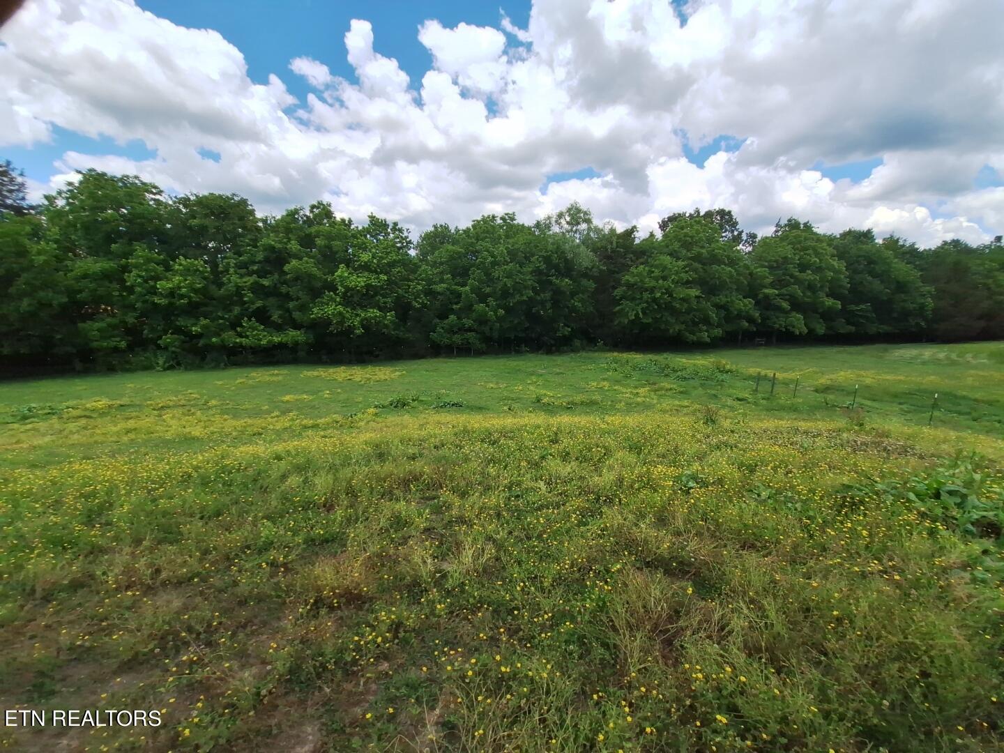 7733 Majors Road Corryton, TN 37721 - Photo 11 of 14 IMG_20230917_111509