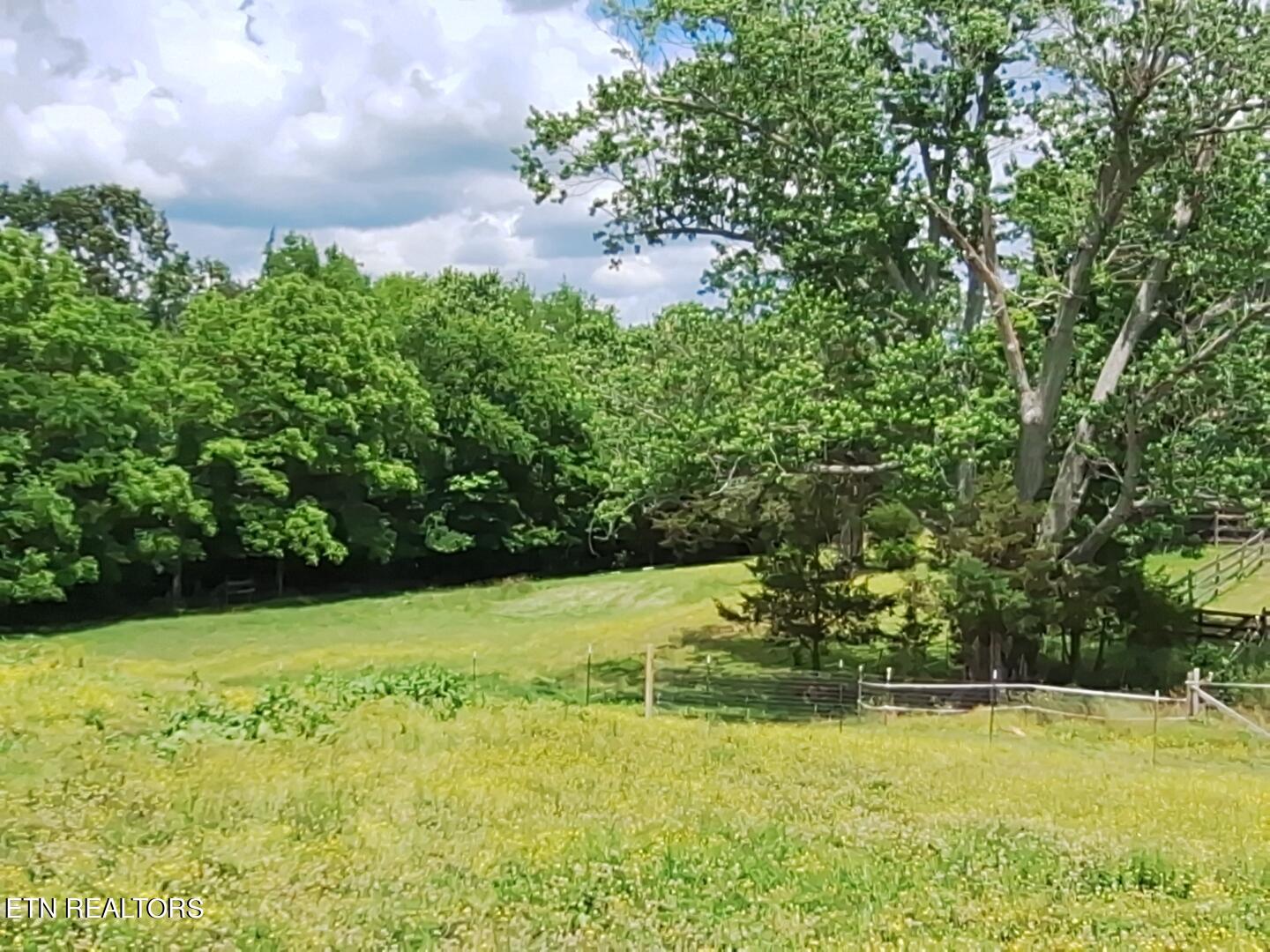 7733 Majors Road Corryton, TN 37721 - Photo 12 of 14 IMG_20230917_111522