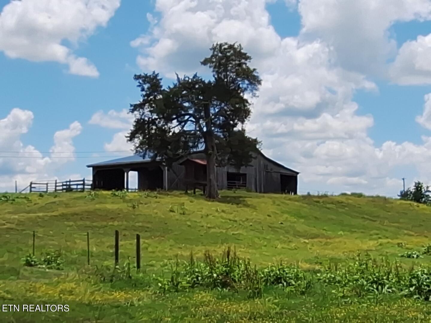 7733 Majors Road Corryton, TN 37721 - Photo 7 of 14 IMG_20230917_111545