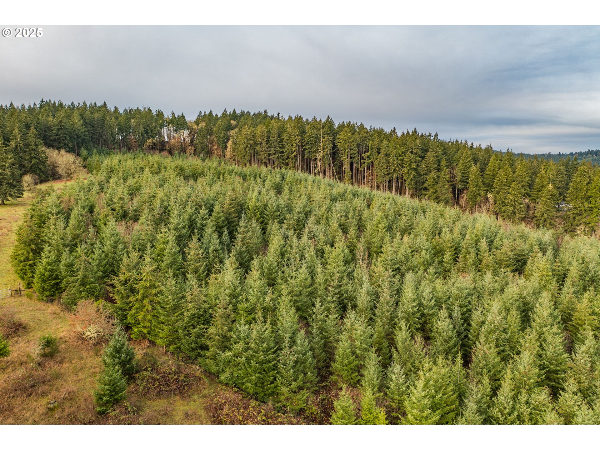 0 Airlie Road Monmouth, OR 97361 - Photo 7 of 33 Gallery Image 7