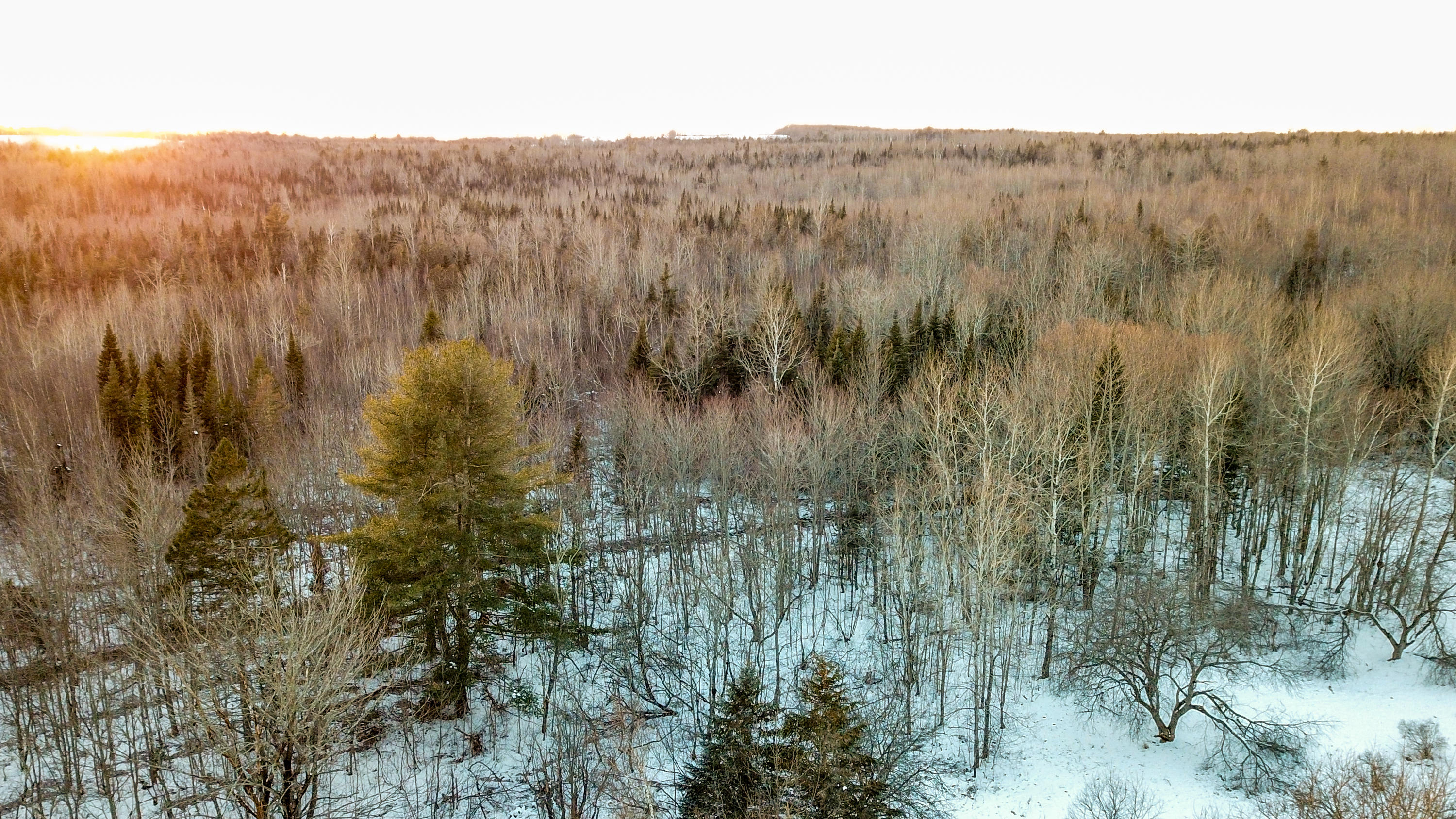 Lot 19 Middle Road Bradford, ME 04410 - Photo 3 of 25 Aerial Overview