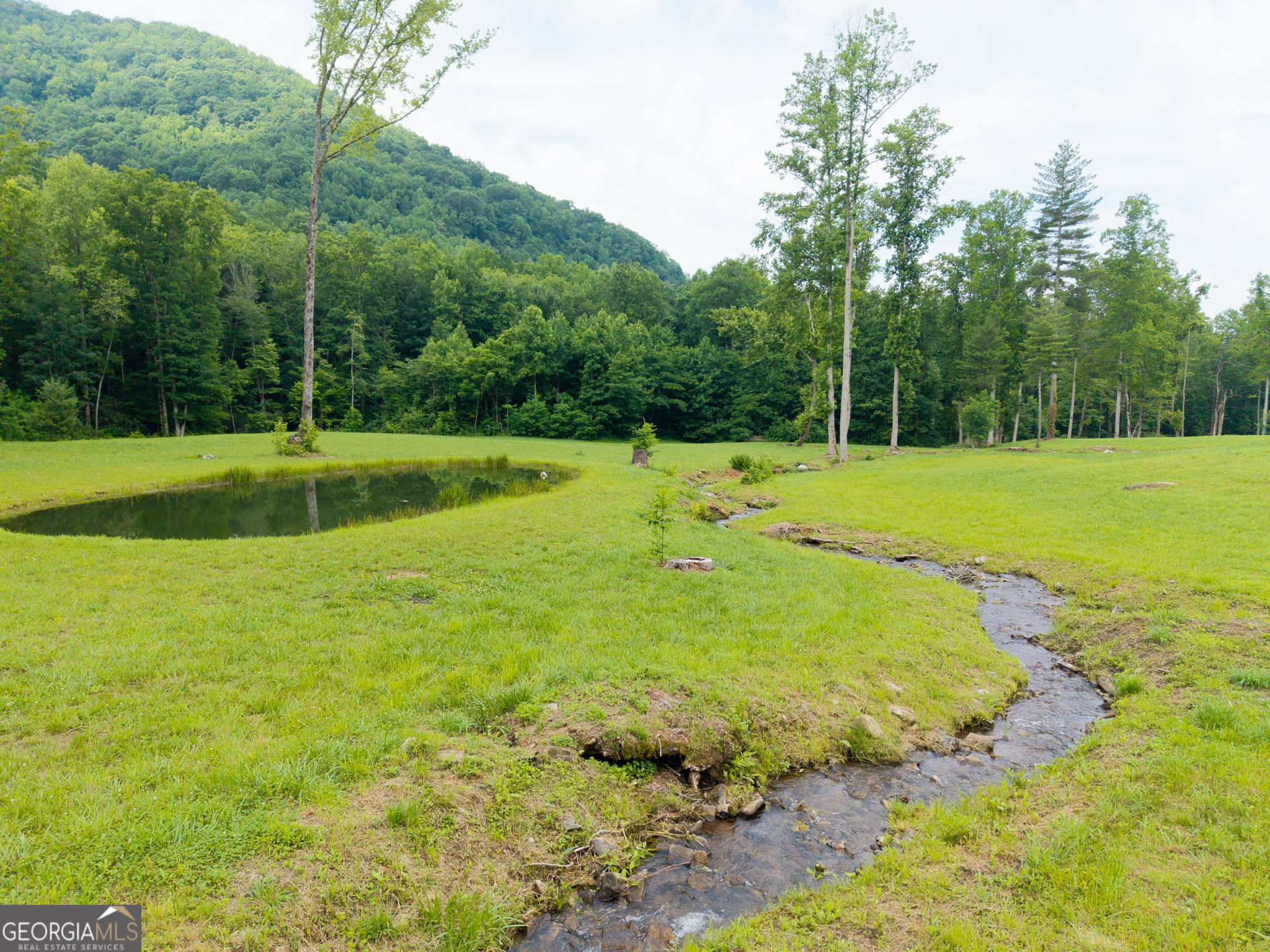 1449 Muskrat Creek Road Hayesville, NC 28904 - Photo 58 of 67