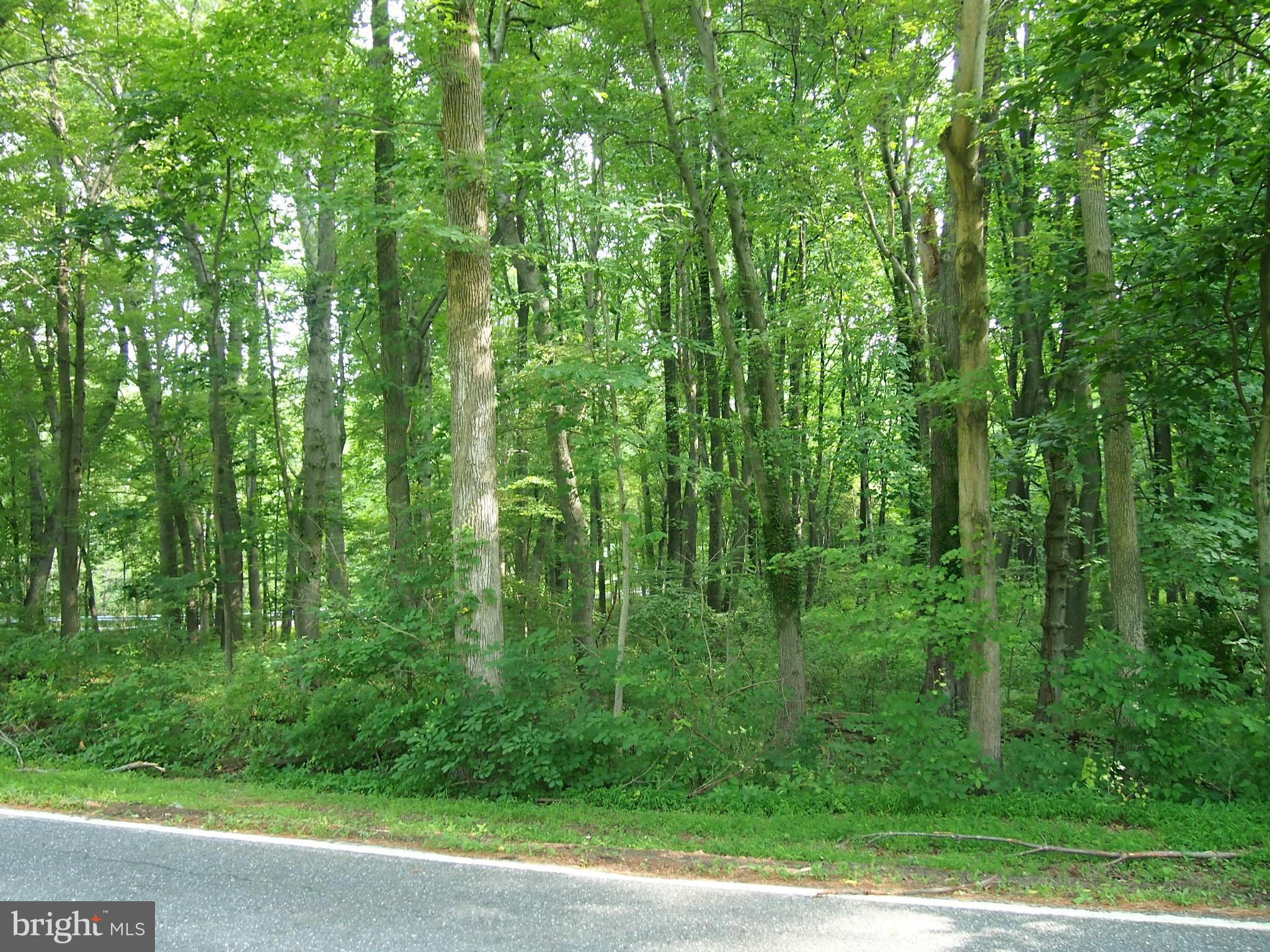 Millers Mill Road Cooksville, MD 21723 - Photo 1 of 6 Exterior (General)