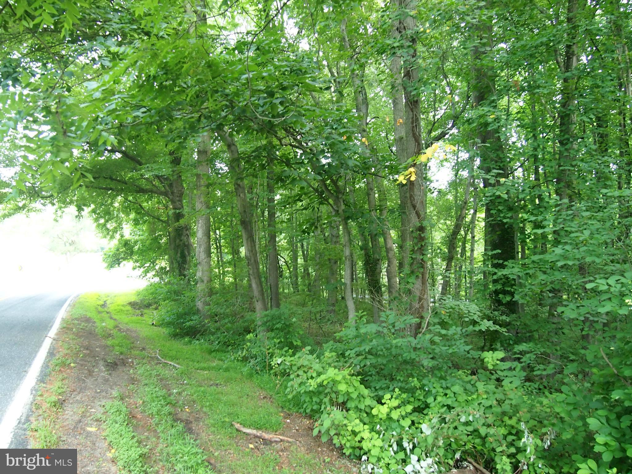 Millers Mill Road Cooksville, MD 21723 - Photo 4 of 6 Exterior (General)