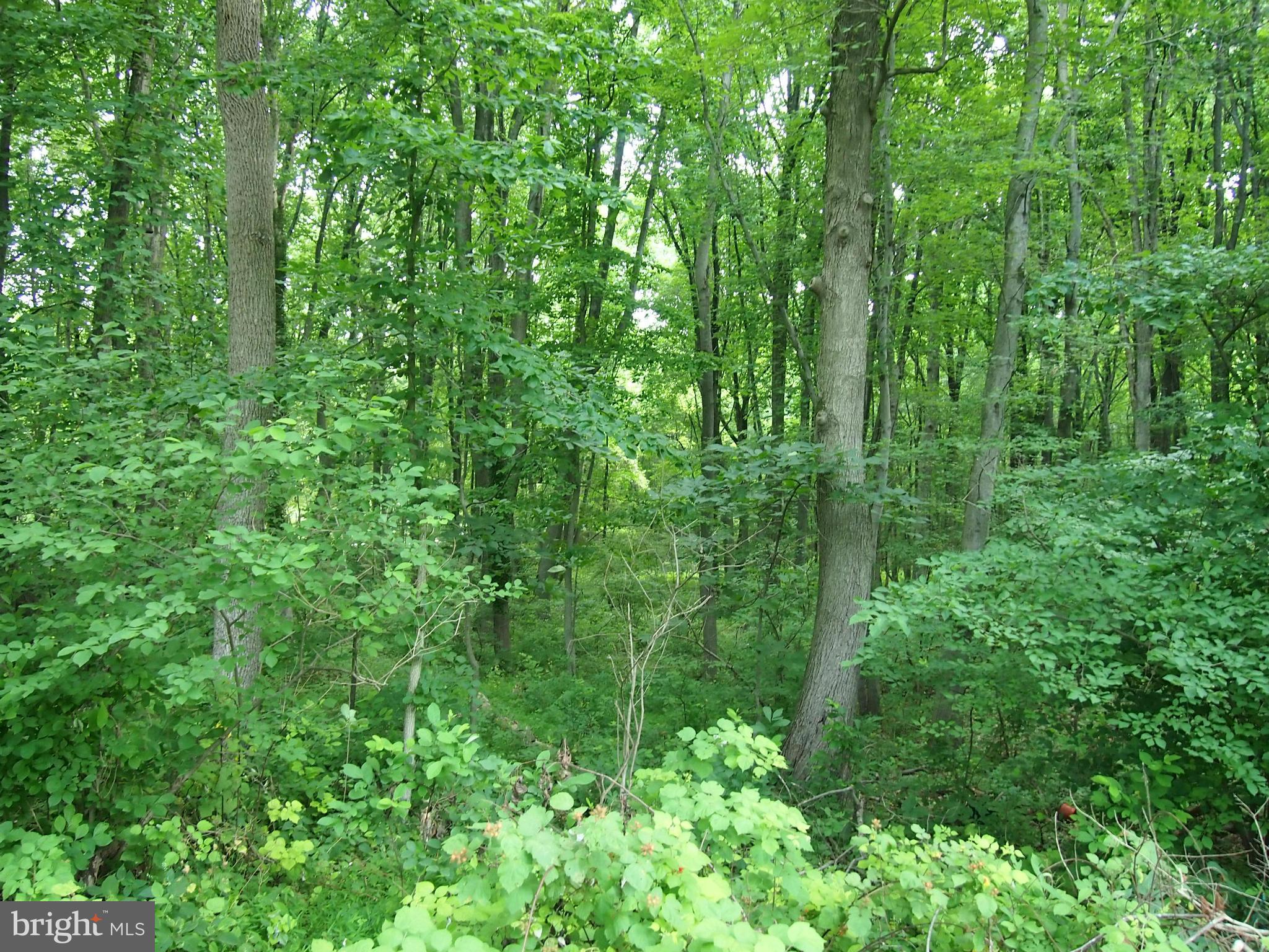 Millers Mill Road Cooksville, MD 21723 - Photo 5 of 6 Exterior (Front)