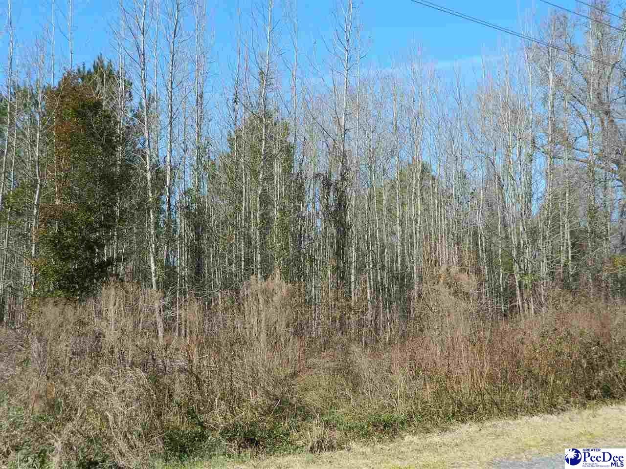 0 Andrews Mill Road Lamar, SC 29069 - Photo 1 of 1 Gallery Image 1