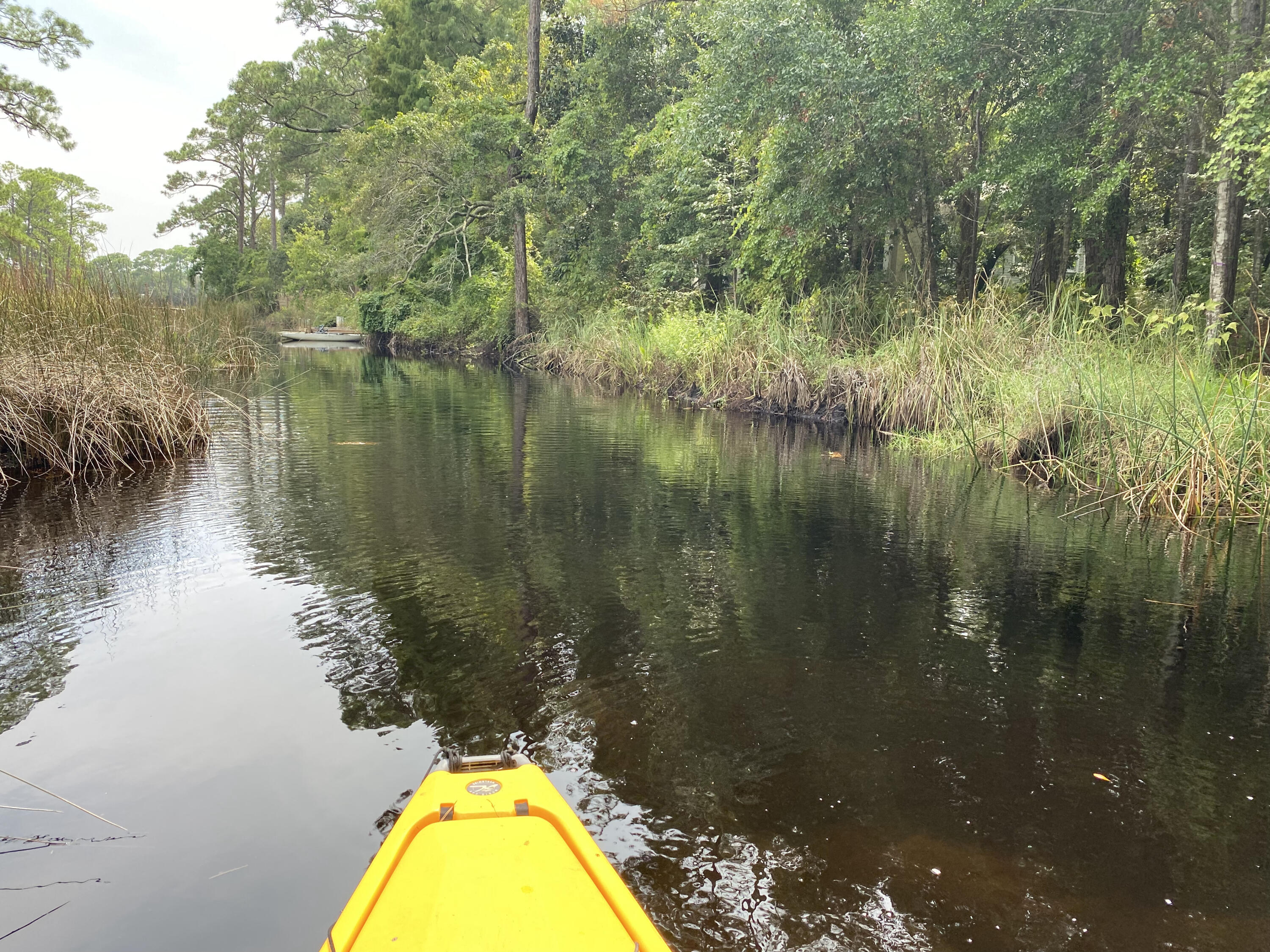 Lot 6 Grayton Trails Road Santa Rosa Beach, FL 32459 - Photo 15 of 16 a view of a lake view