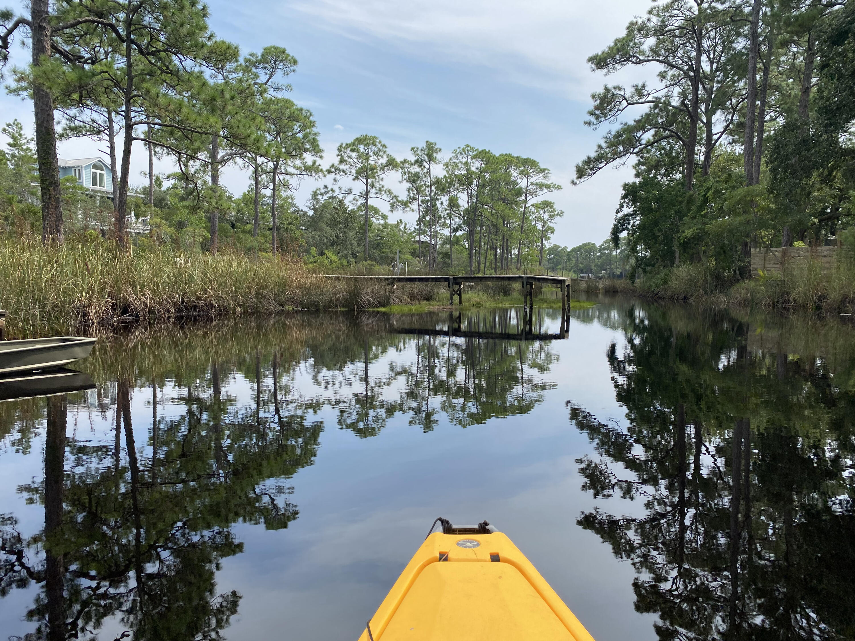Lot 6 Grayton Trails Road Santa Rosa Beach, FL 32459 - Photo 3 of 16 a view of a lake in a forest