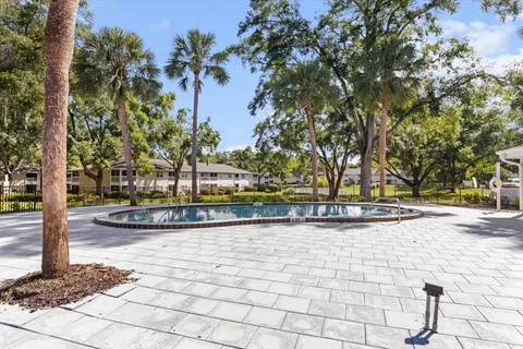 a view of a park with large trees