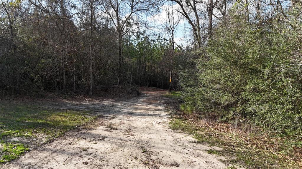 1773 Ridge Road, Unit A Perkinston, MS 39573 - Photo 30 of 39