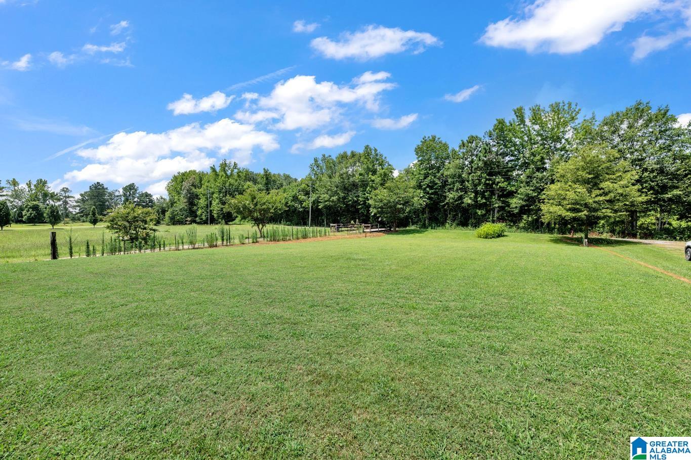 0 Mize Road, Unit 13 Remlap, AL 35133 - Photo 17 of 44