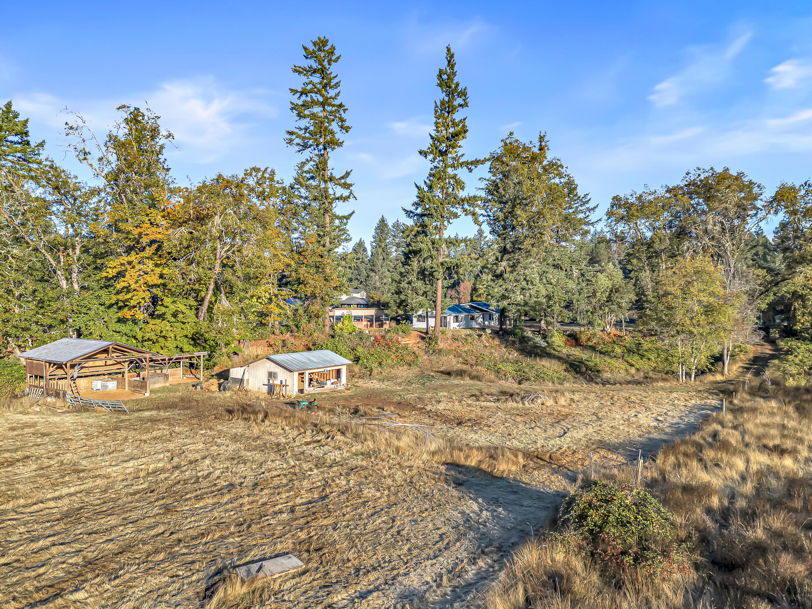 570 Garner Road Cave Junction, OR 97523 - Photo 4 of 50 DJI_20251020083559_0031_D