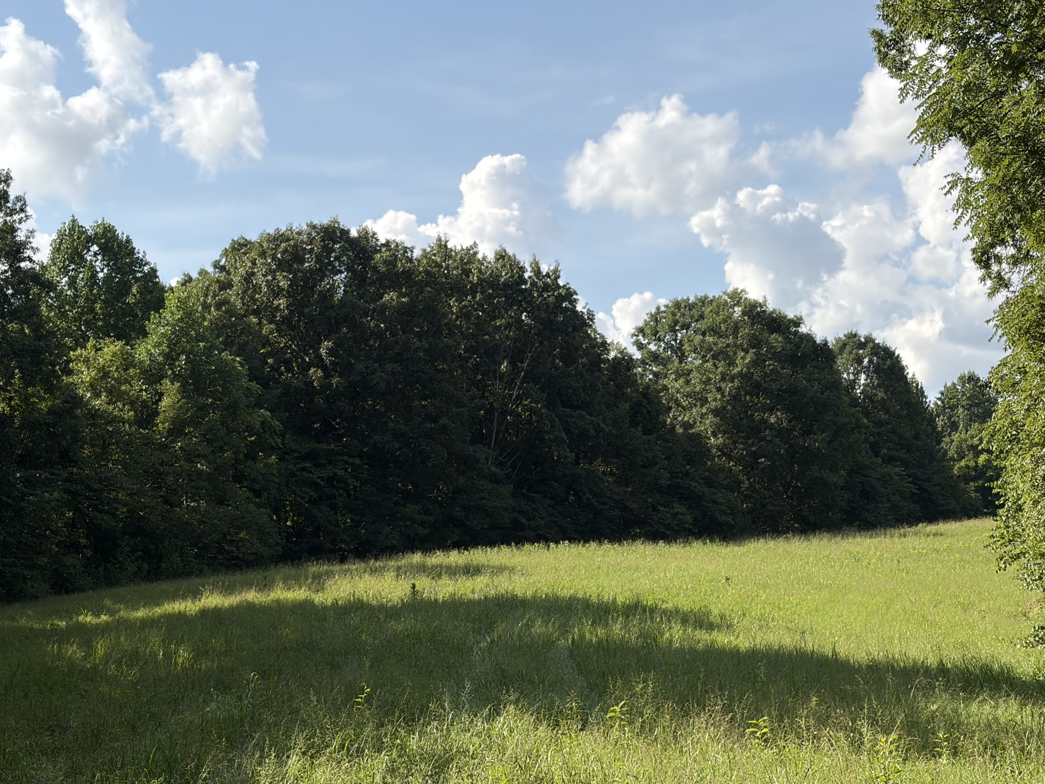 1448 Williams Hollow Road Pulaski, TN 38478 - Photo 58 of 70 Gallery Image 58