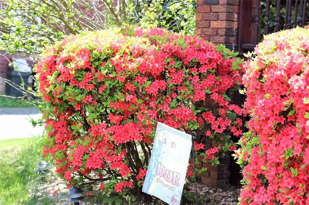 250 Meridian Road Butler, PA 16001 - Photo 22 of 23 Front Bushes