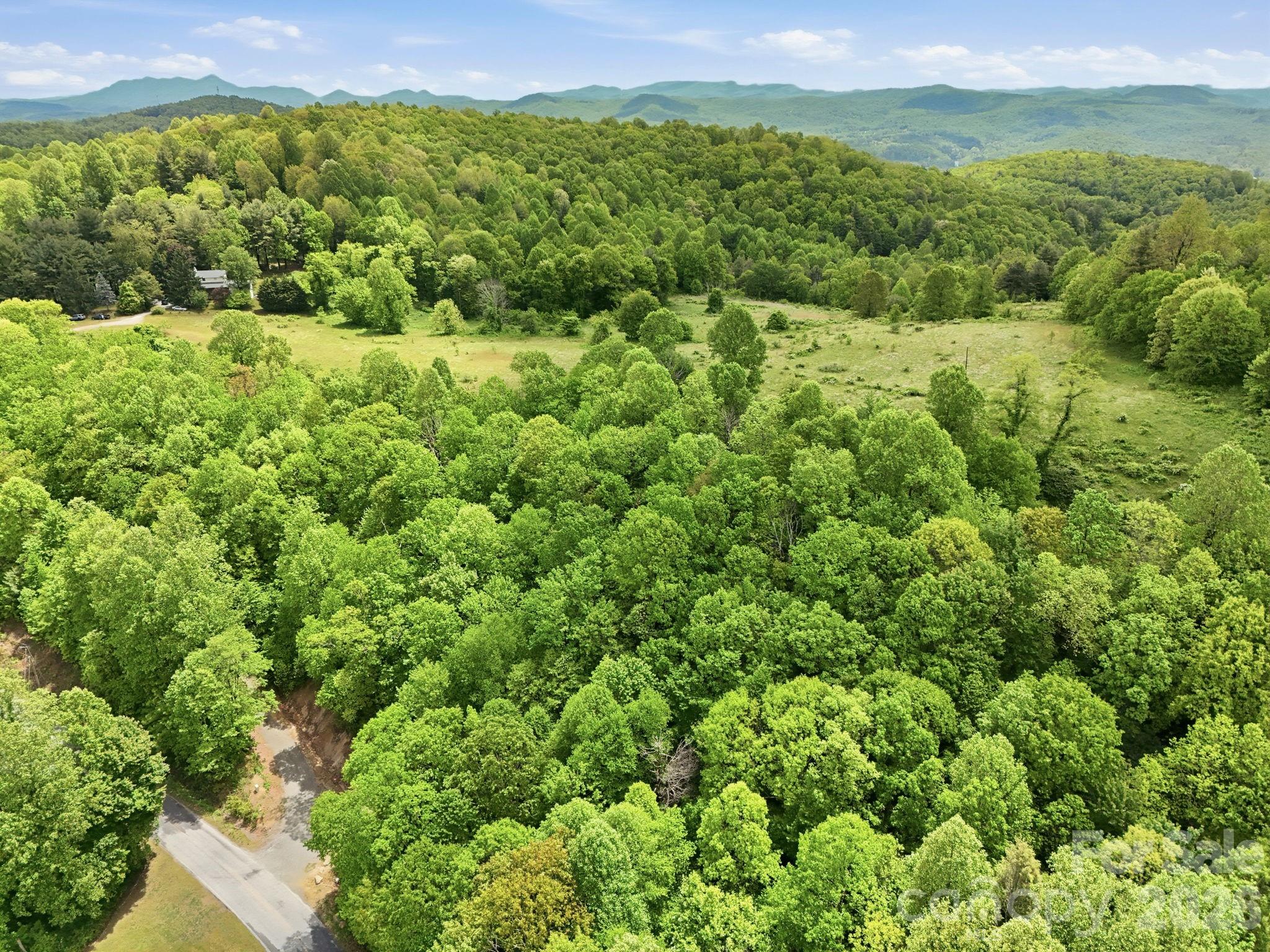 4105 Pinnacle Mountain Road Zirconia, NC 28790 - Photo 19 of 23 a view of a lush green forest with a lush green hillside and a houses