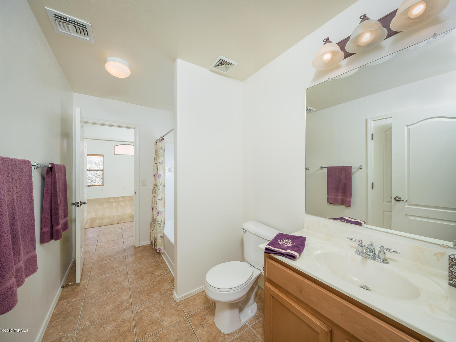 39143 Rodeo Buckle Drive Tucson, AZ 85739 - Photo 15 of 27 Gallery Image 15