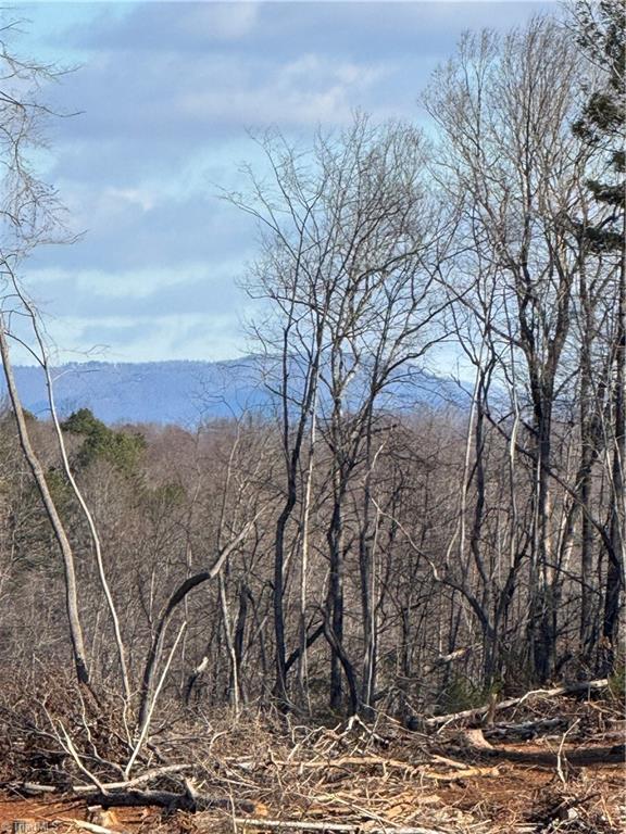 0 Money Road Dobson, NC 27017 - Photo 1 of 3 Gallery Image 1