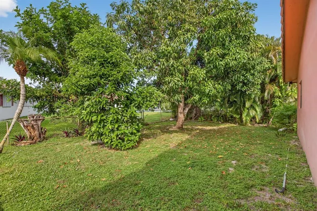 a view of a garden with a tree