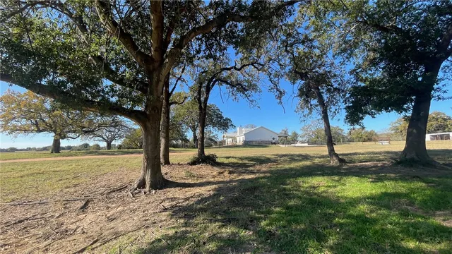 a view of a yard with an trees