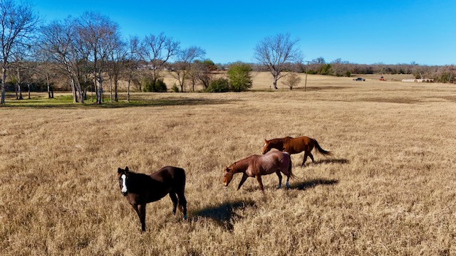 13541 East Us Highway Gause, TX 77857 - Photo 34 of 39 a view of yard and mountain view