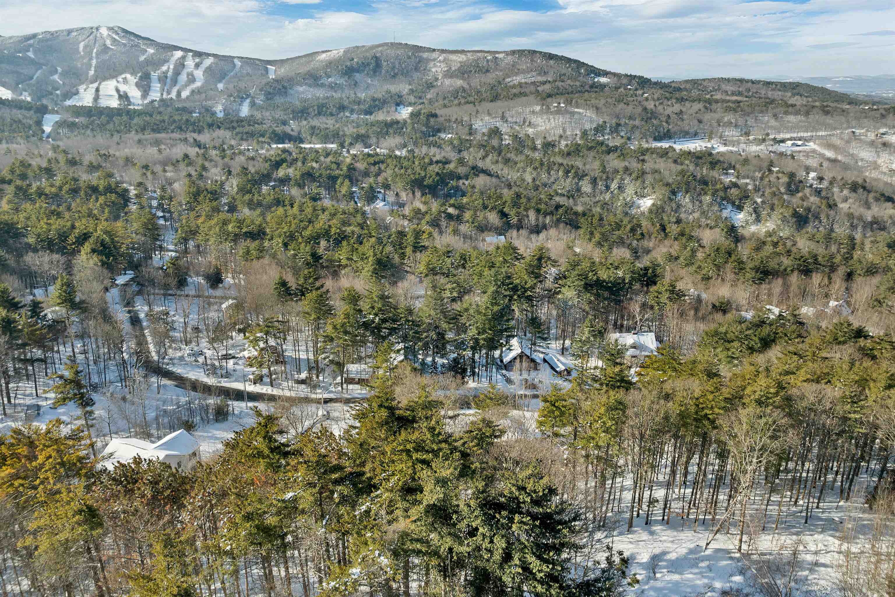 40 Deer Run Lane Gilford, NH 03249 - Photo 59 of 60