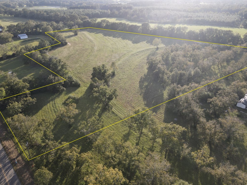 14.19-acres Willie Varnum Road Dothan, AL 36301 - Photo 2 of 6