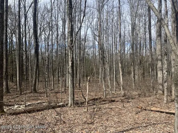 $24,900 | Lot 10 Keene Way, Sciota, PA 18354