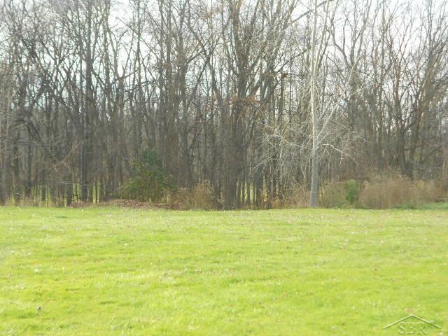 5725 Midland Road Freeland, MI 48623 - Photo 2 of 5 31220426-1.JPG