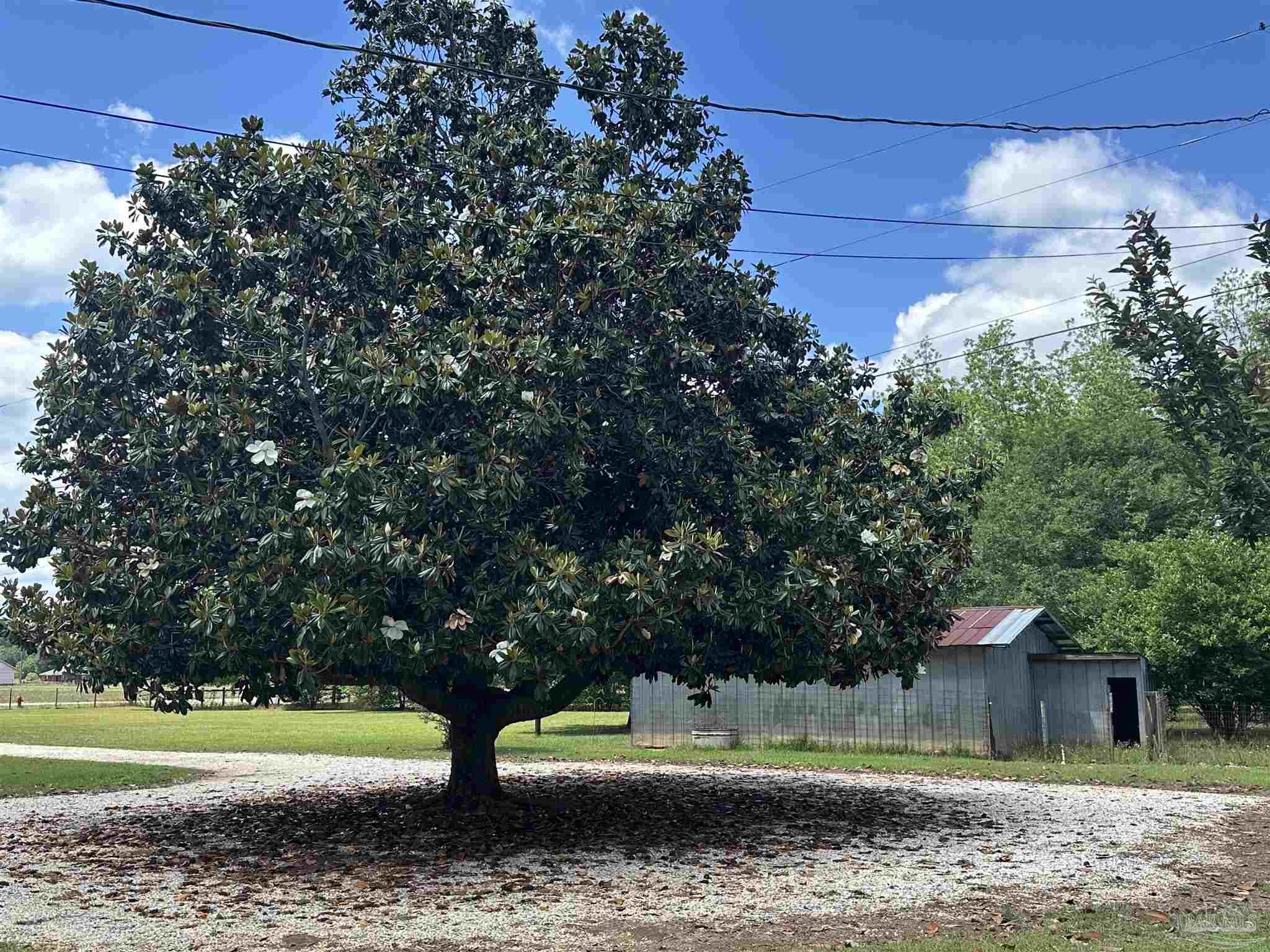 5168 Beck Avenue Jay, FL 32565 - Photo 51 of 69
