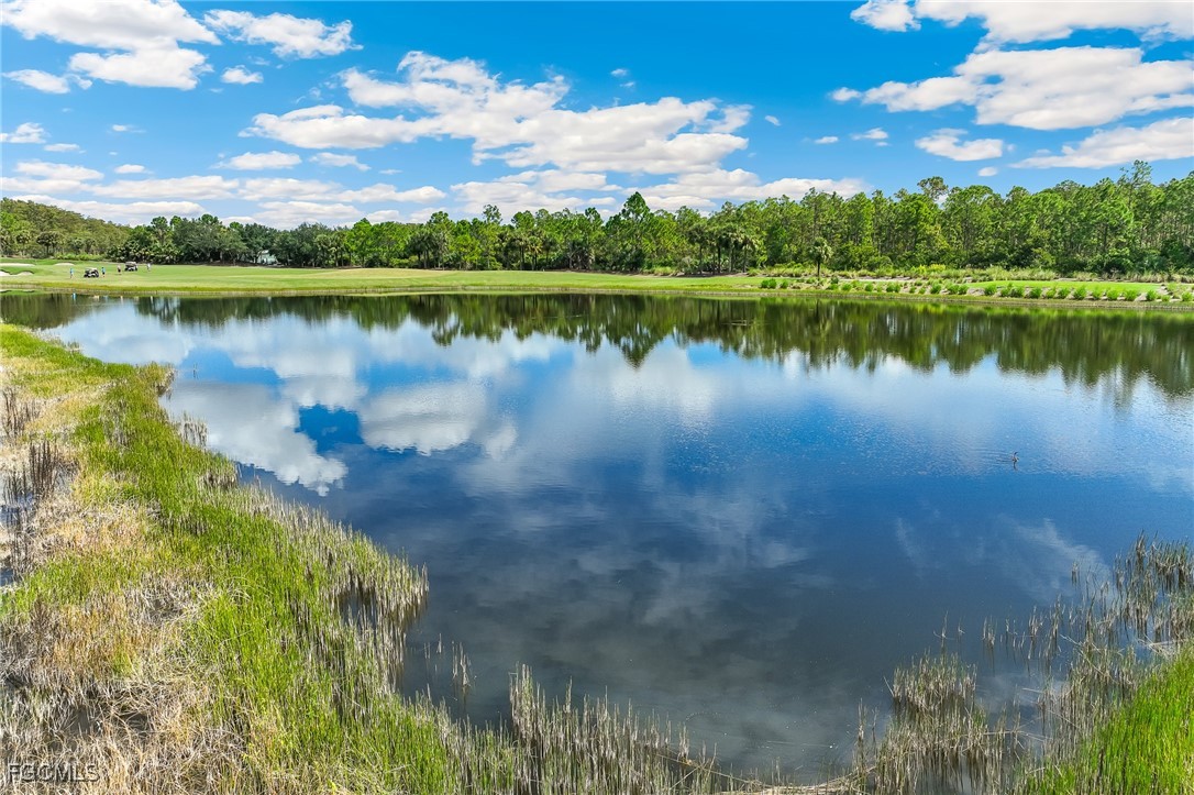 10964 Surrey Place Fort Myers, FL 33913 - Photo 4 of 35