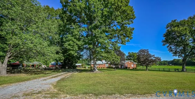 a view of a swimming pool with lawn chairs and large trees