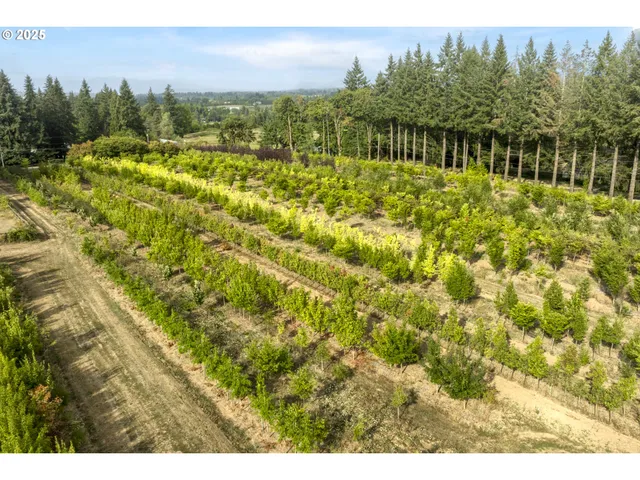 a view of a lake view