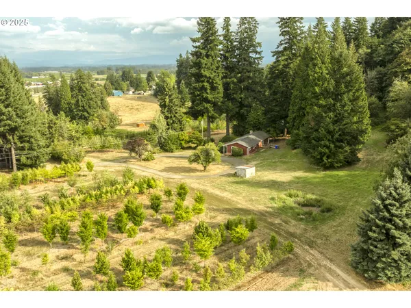 a view of a yard with an outdoor space
