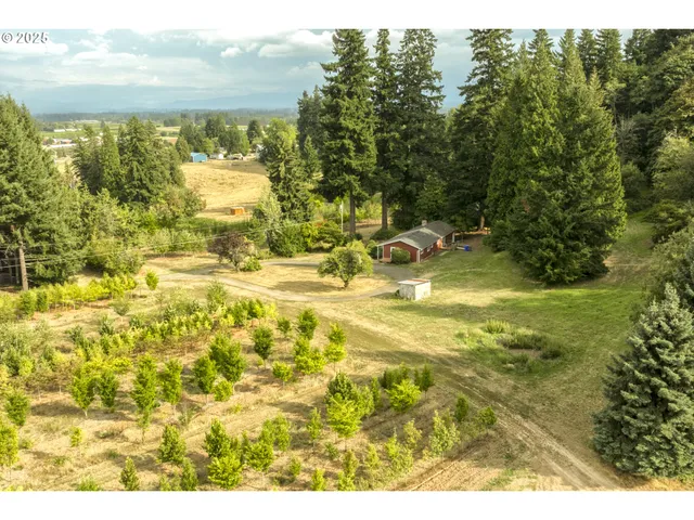 a view of a yard with an outdoor space