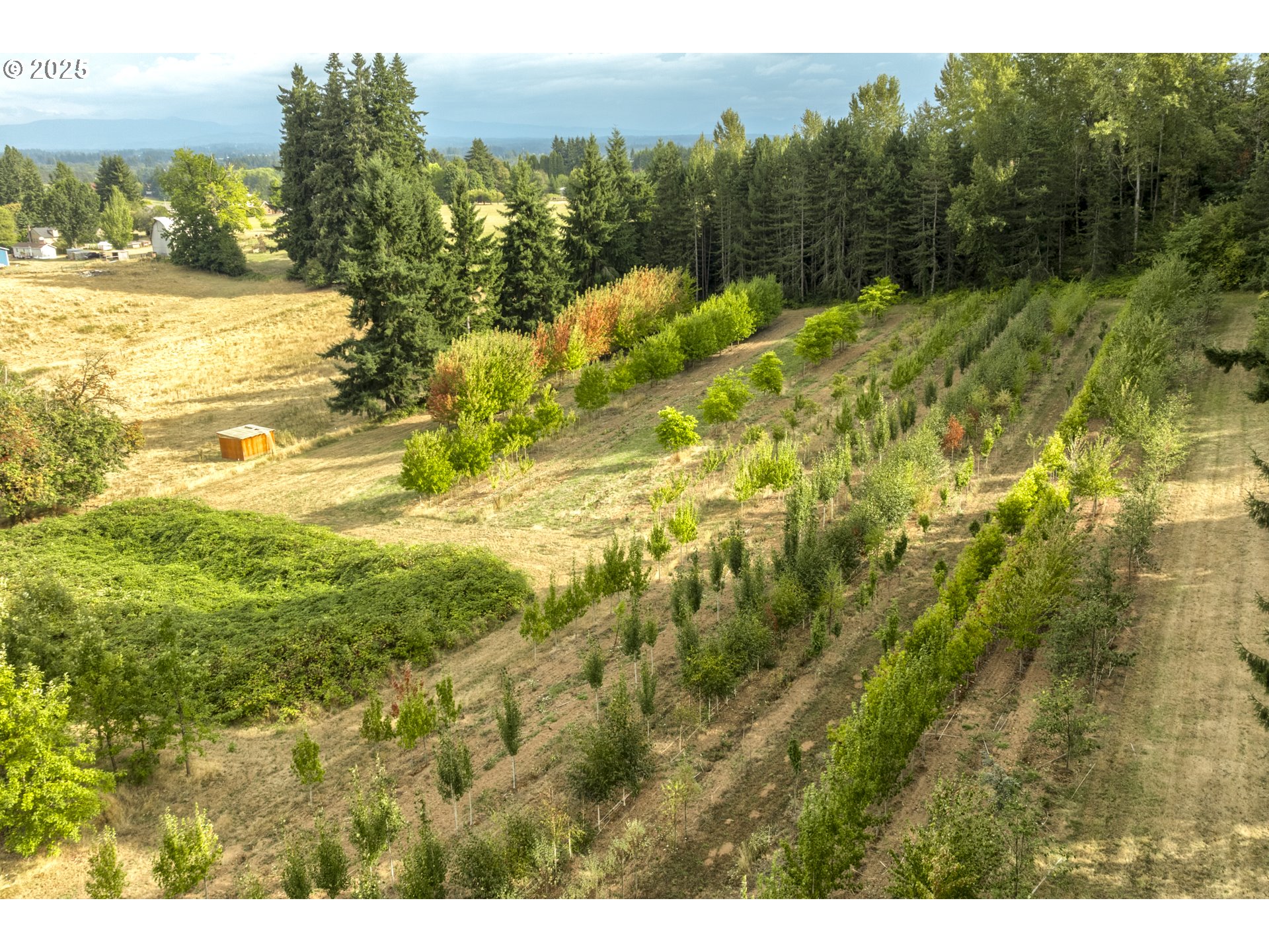 29630 Southeast Wheeler Road Boring, OR 97009 - Photo 14 of 46 a view of a yard with an outdoor space