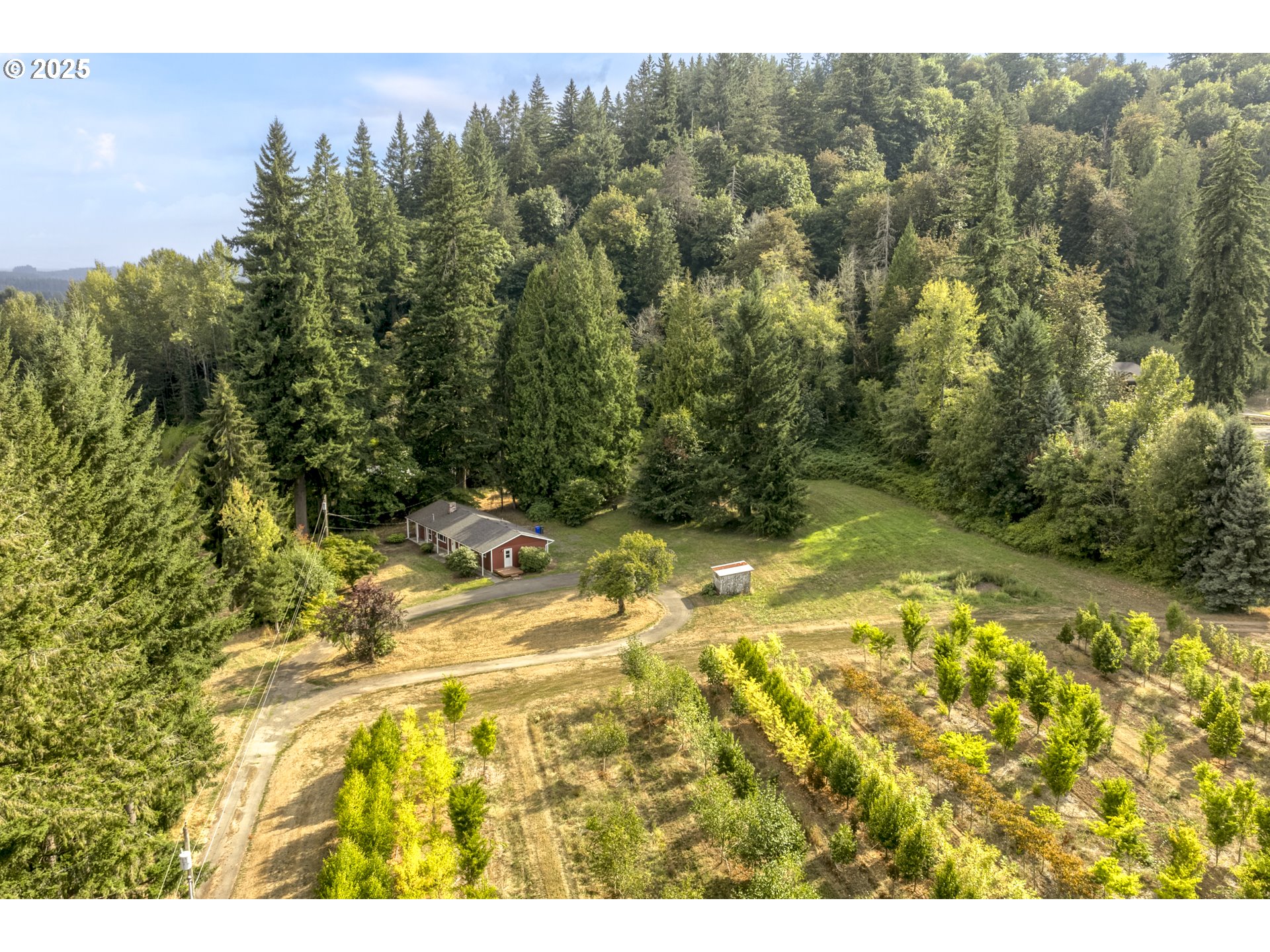29630 Southeast Wheeler Road Boring, OR 97009 - Photo 18 of 46 a view of a yard with an outdoor space