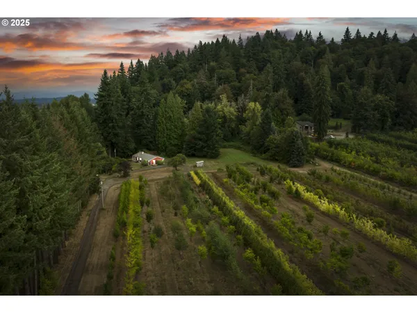 a view of a basketball court