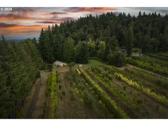 a view of a basketball court