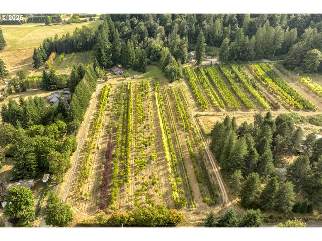 a view of swimming pool