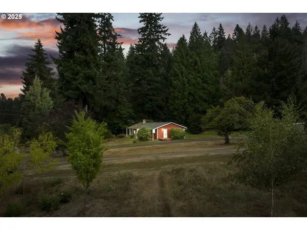 a view of a town with trees in the background