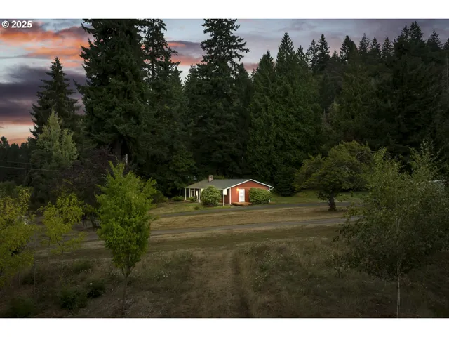 a view of a town with trees in the background