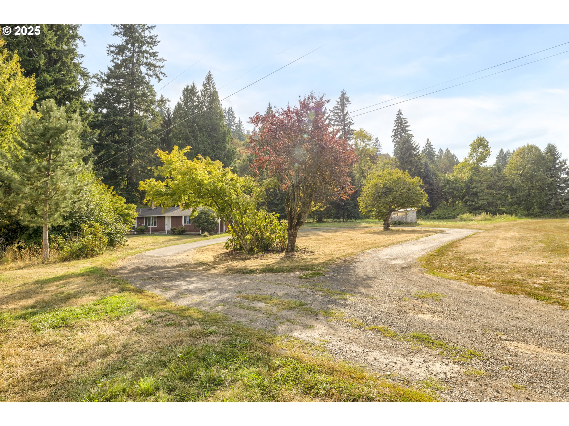 29630 Southeast Wheeler Road Boring, OR 97009 - Photo 23 of 46 a view of yard with swimming pool