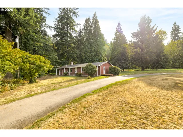 a view of empty room with wooden floor and fireplace