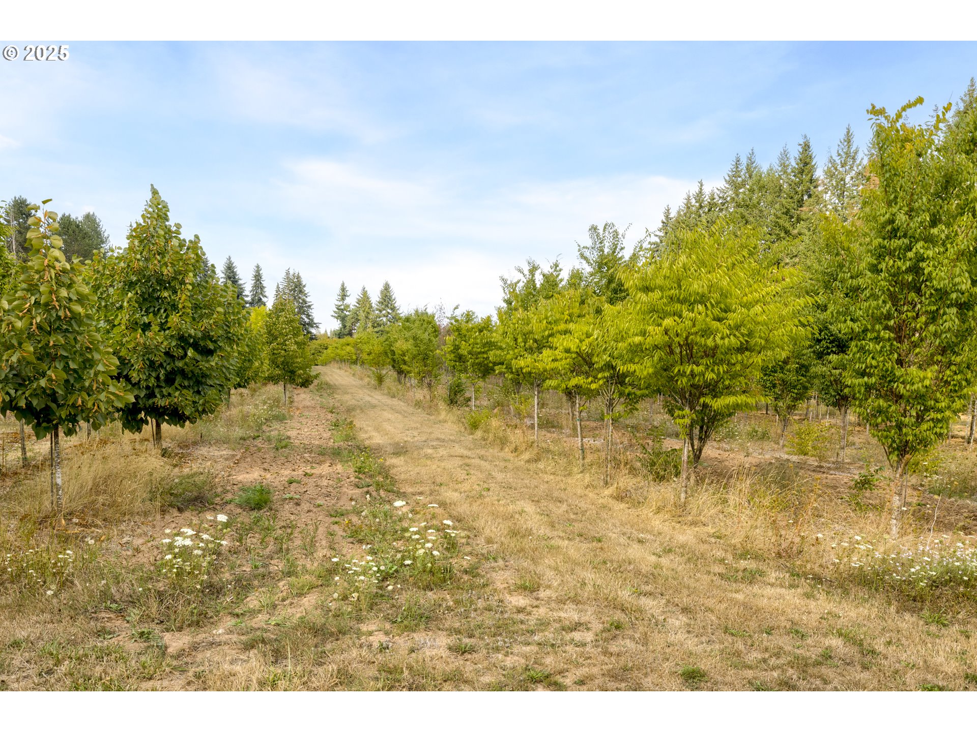 29630 Southeast Wheeler Road Boring, OR 97009 - Photo 44 of 46 a view of a lake view