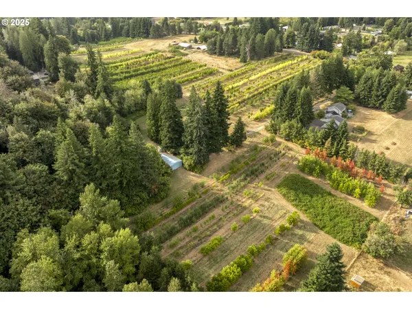 a view of a yard with an outdoor space