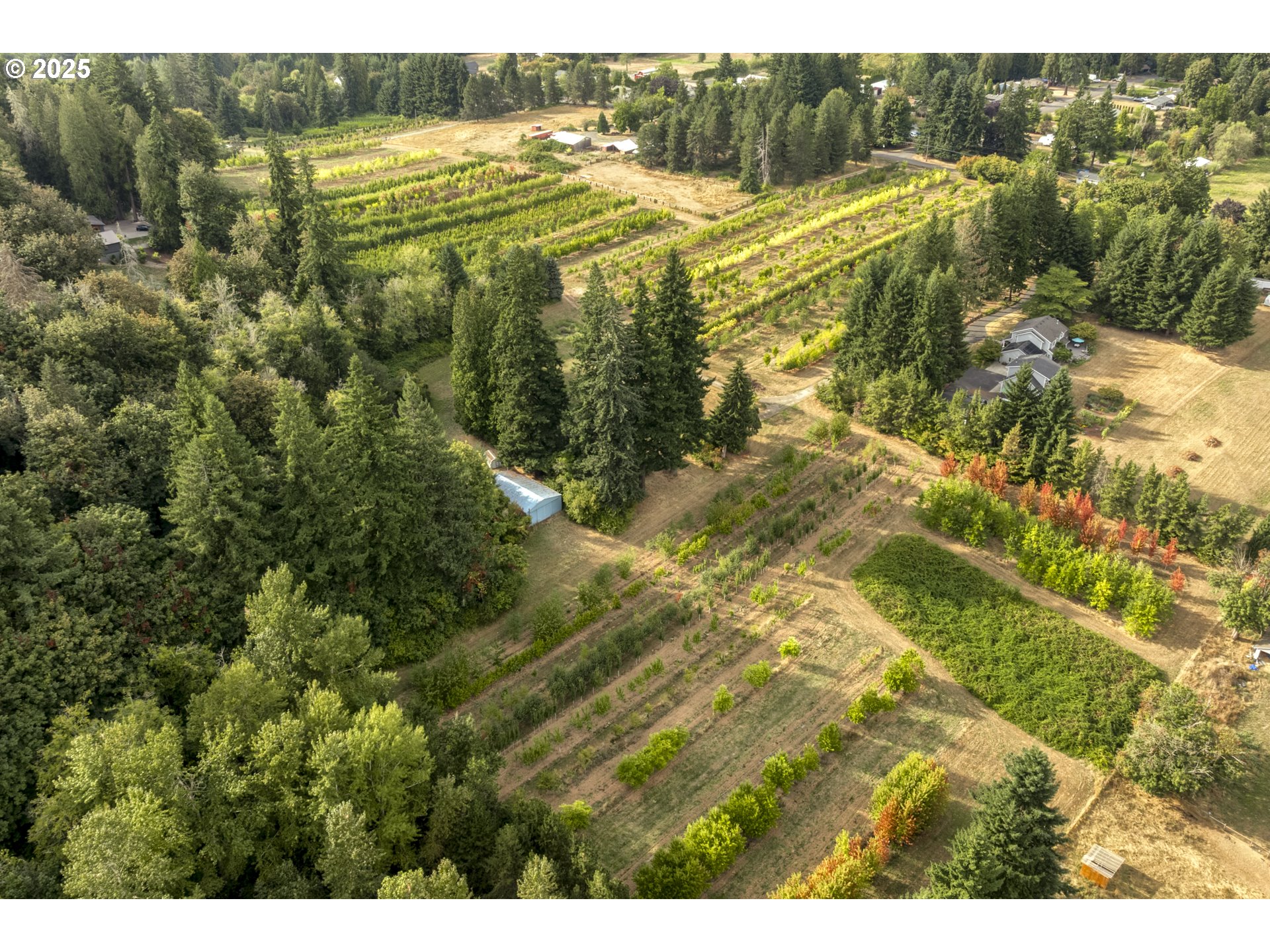 29630 Southeast Wheeler Road Boring, OR 97009 - Photo 5 of 46 a view of a yard with an outdoor space