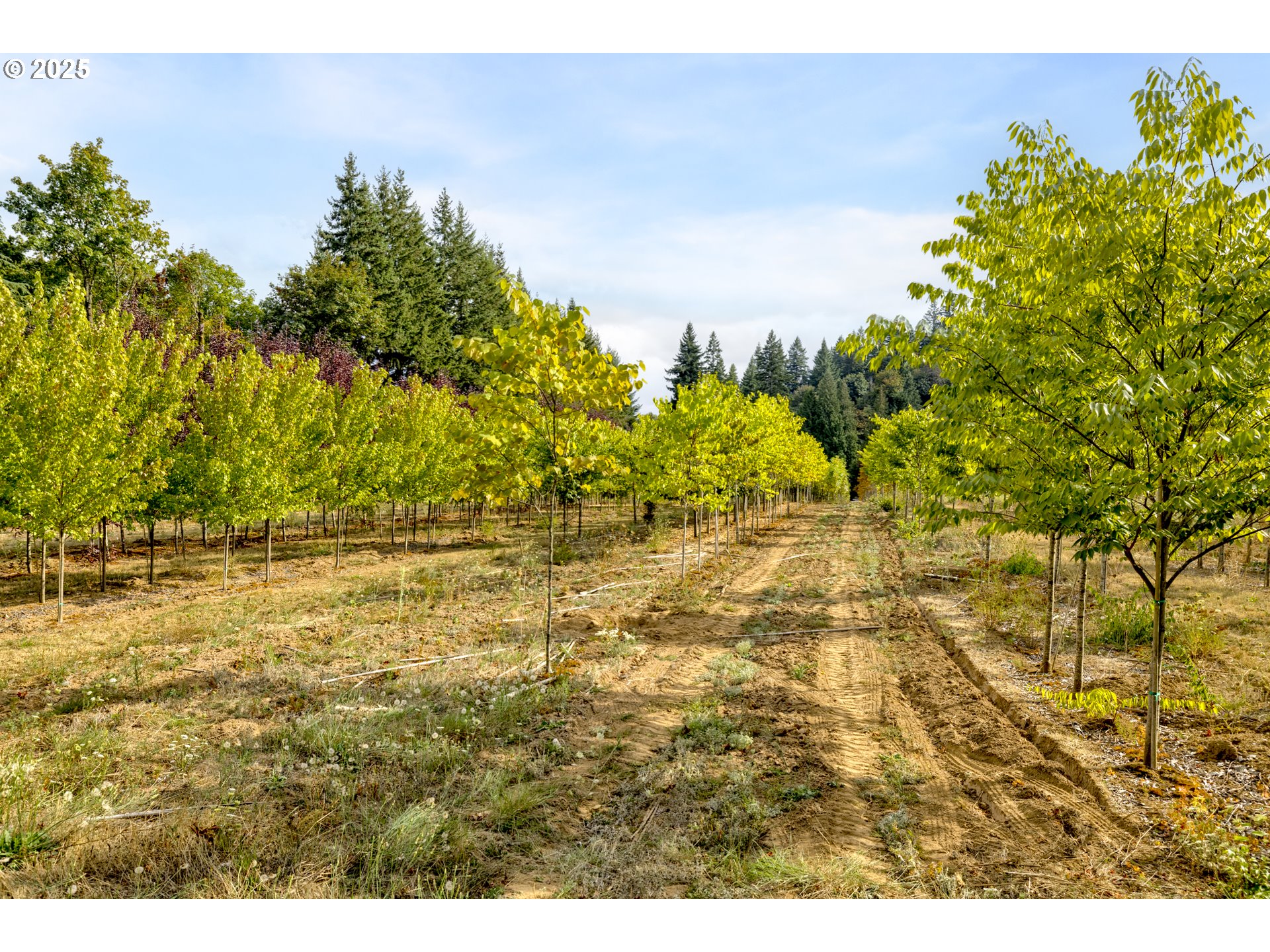 29630 Southeast Wheeler Road Boring, OR 97009 - Photo 6 of 46 a view of lake view