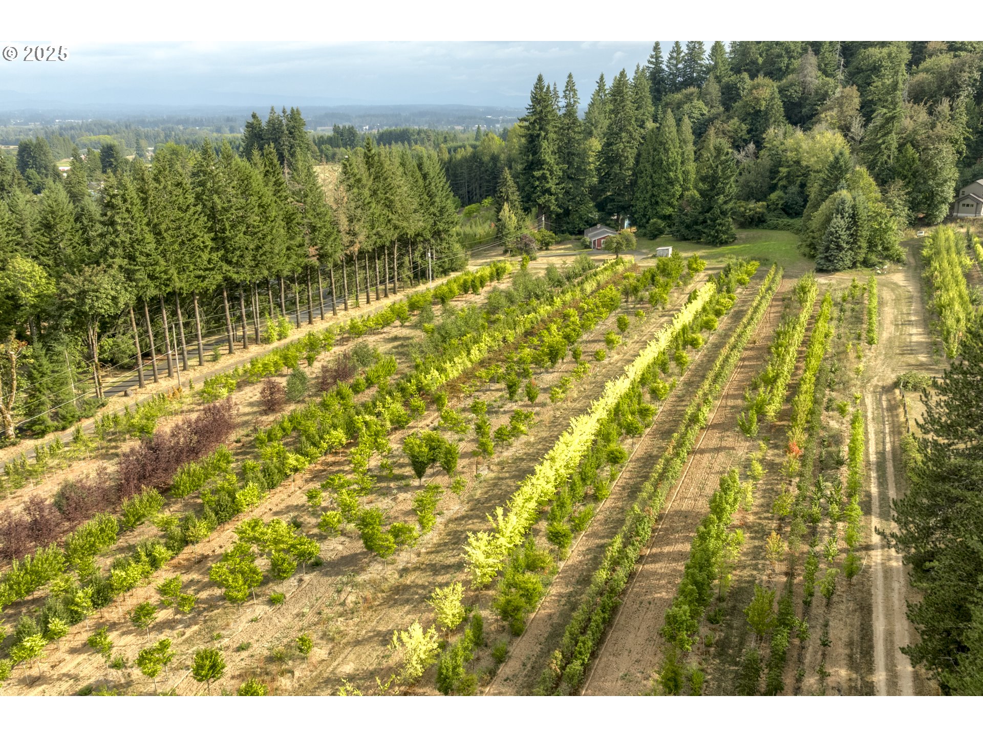 29630 Southeast Wheeler Road Boring, OR 97009 - Photo 7 of 46 a view of an ocean view